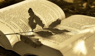 什么是自动化仓库系统 自动化仓库系统介绍