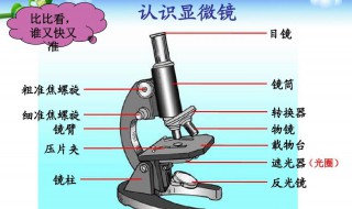 使用显微镜时的对焦方法 使用显微镜时的对焦方法是什么