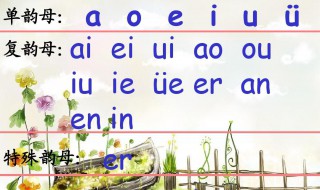 什么是单韵母复韵母 单韵母复韵母声母介绍