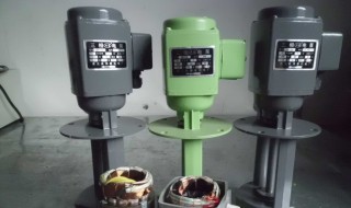 什么是三相电泵 三相电泵介绍