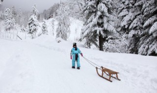 关于景物的作文 描写景物的作文范文