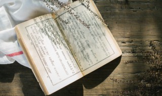 暖心故事关于爱情的 关于爱情的暖心故事