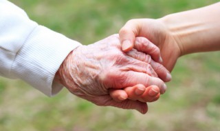 关于辱母杀人案的作文 与辱母杀人案相关的作文