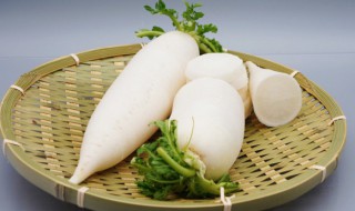 白萝卜可以跟糯米一起吃吗 能不能一起吃白萝卜和糯米