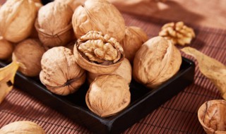 核桃和鱿鱼能一起吃吗 核桃和鱿鱼能不能一起吃呢