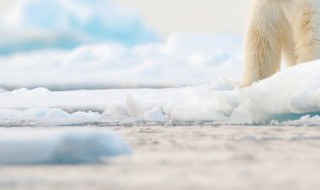 湖心亭看雪作者简介 湖心亭看雪作者介绍