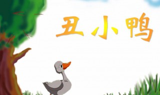 丑小鸭作者简介 丑小鸭作者介绍