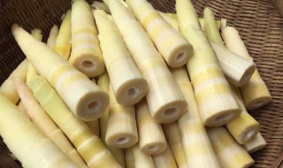 新鲜的竹笋怎样保存 新鲜的竹笋如何存放呢