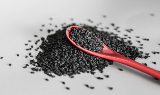 黑芝麻怎样保存 如何保存黑芝麻