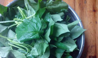 怎样保存地瓜叶 如何保存地瓜叶