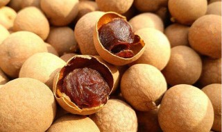 桂圆干怎样保存 桂圆干怎么存放好呢