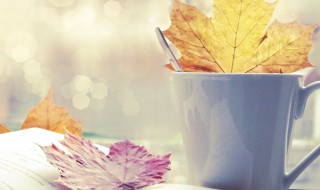 公然是什么意思 公然解释