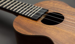 什么叫打品 关于打品的意思介绍