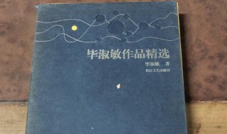 毕淑敏代表作 毕淑敏代表作有什么