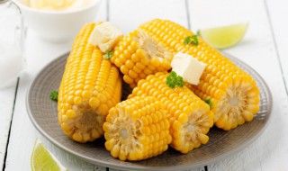 玉米怎样储存不会坏 玉米如何储存不会坏