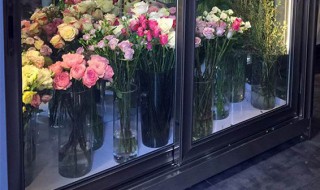 鲜花怎样冷柜储存 鲜花冷藏柜的保鲜方法介绍
