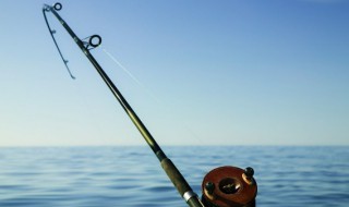 不钓三月鲫指的是阴历阳历 不钓三月鲫说的是阴历阳历