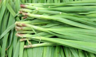 男人吃韭菜的好处 男人吃韭菜有什么好处