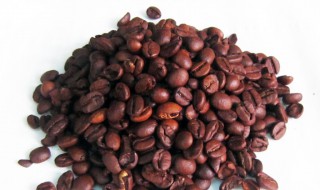 可可豆的特点 可可豆的特点有哪些