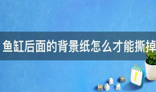 鱼缸后面的背景纸怎么才能撕掉 鱼缸后面的背景纸更换方法