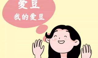 饭圈文化特征 饭圈文化特点