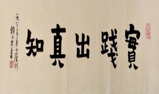 关于实践出真知的名言 描写实践出真实的名人名言