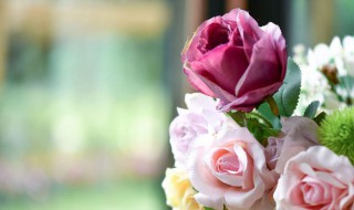 梦见自己和别人结婚是什么意思 梦见自己和别人结婚的意思介绍