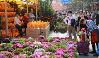 百花盛开是什么季节 百花开是什么季节