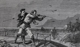 康塞尔的性格特点 康塞尔的性格特点介绍