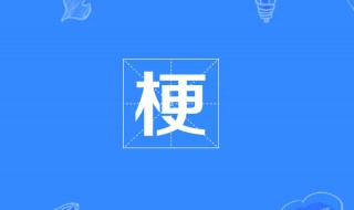 梗是什么意思网络语言 网络流行语的什么梗是什么意思