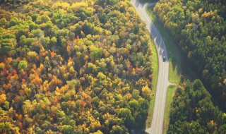 关于保护森林的一段话 保护森林的相关资料