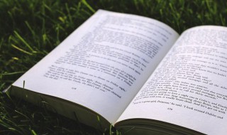 荣辱悲欢目前事君恩浅处草方深什么意思 荣辱悲欢目前事君恩浅处草方深解释