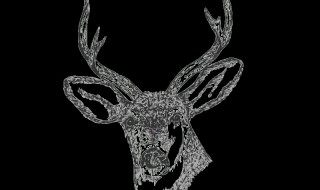 鹿头标是什么 鹿头标的解释