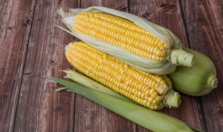 丰收的玉怎样储存才不会生虫 玉米怎样储存才不会生虫