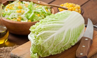 冬天怎样在室外储存白菜 冬天保存大白菜的方法