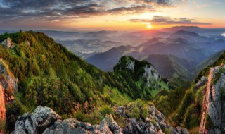 什么东西能够辨别方向 能辨别方向的东西