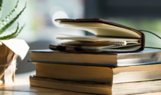 避实就虚的意思 避实就虚的含义