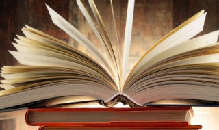 先敬罗衣后敬人是什么意思 先敬罗衣后敬人的出处