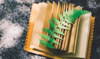 逆来顺受是什么意思啊 逆来顺受的含义