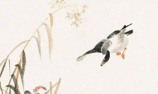 轻于鸿毛中的鸿毛是哪种动物的毛 鸿毛是什么