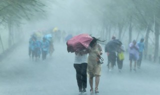 如何在暴雨中保护自己 在暴雨中保护自己方法