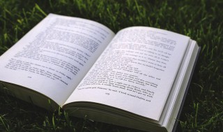 北向资金什么意思 北向资金解释