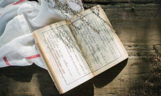 咏雪原文 咏雪原文是怎样的