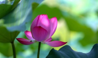 2021三伏天时间表是怎样的 三伏简介