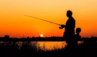 水库春季钓罗非技巧 罗非鱼怎么钓