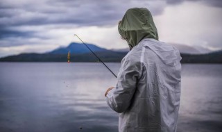 钓鲫鱼坑技巧 钓鲫鱼坑技巧有哪些