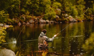 钓刺排鱼的方法 钓刺排鱼的方法是什么