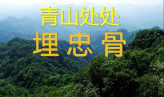青山处处埋忠骨教案北大附小 有关青山处处埋忠骨教案北大附小