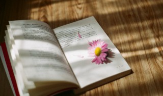 敬请谅解什么意思 敬请谅解的含义