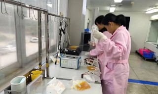 献血和献血浆有什么区别 献血和献血浆区别